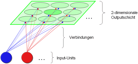 Schematische Darstellung eines 2-dimensionalen Kohonennetzes. In blau und rot: 2 Input-Units mit ihren Verbindungen zu sämtlichen Output-Units (in grün), die 2-dimensional angeordnet sind. Versuchen Sie bitte die Abbildung mental um 90 Grad nach rechts zu rotieren. Vergleichen Sie nun dieses rotierte Bild mit den schematischen Darstellungen zum Pattern Associator und zu den kompetitiven Netzen!