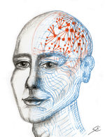 Der Neuronenkopf -- Bild: Sabrina Ehses